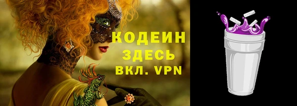 дурь Вяземский