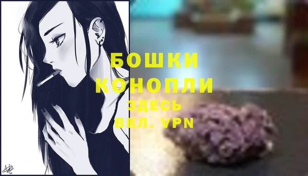 дурь Вяземский