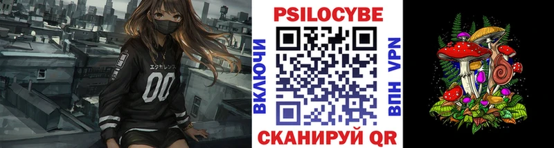 Псилоцибиновые грибы MAGIC MUSHROOMS  hydra ССЫЛКА  Карачаевск 
