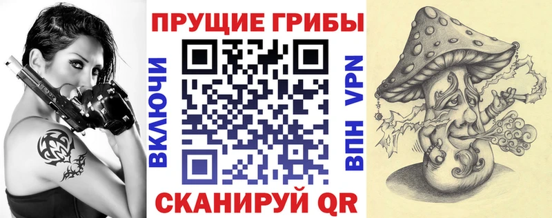 Псилоцибиновые грибы мицелий Карачаевск