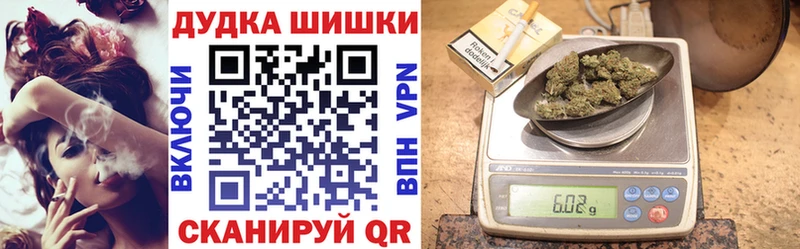 Бошки Шишки сатива  mega как войти  Карачаевск  даркнет сайт 
